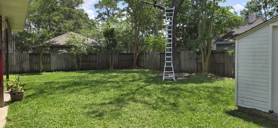 Yard after tree debris removal